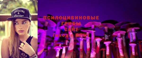 PSILOCYBIN Майский