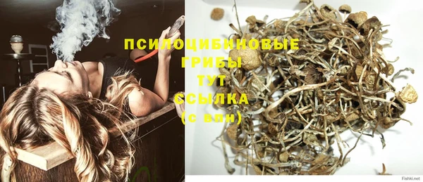 PSILOCYBIN Майский