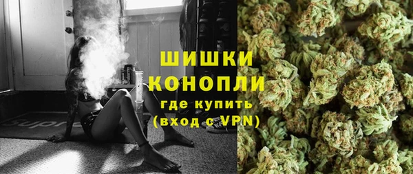 PSILOCYBIN Майский