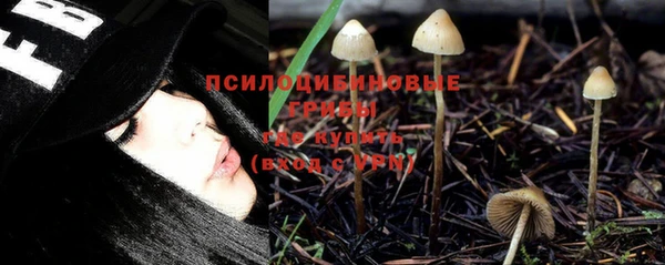 индика Магадан