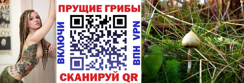 Псилоцибиновые грибы прущие грибы Комсомольск-на-Амуре