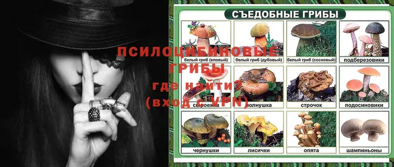 Псилоцибиновые грибы Magic Shrooms  Комсомольск-на-Амуре 