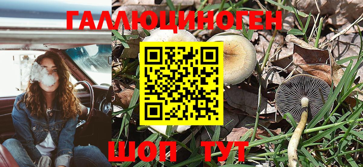 Галлюциногенные грибы ЛСД Комсомольск-на-Амуре